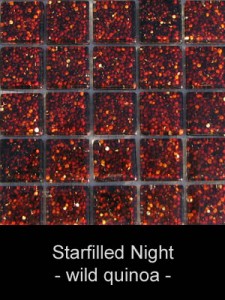 Natureaucarre - starfilled_night