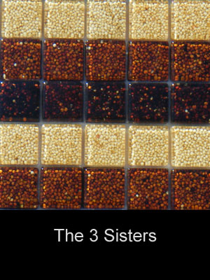 Natureaucarre - the_3_sisters
