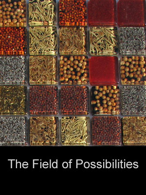 Natureaucarre - the_field_of_possibilities
