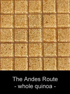 natureaucarre - the_andes_route