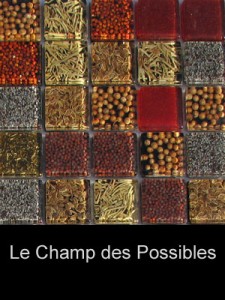 Nature_au_carre - champ_des_ possibles