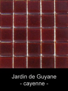 natureaucarre - jardin_de_guyane