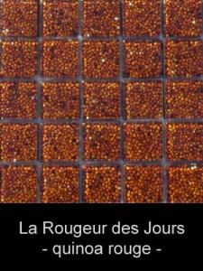 natureaucarre - la_rougeur_des_jours