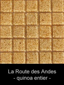 natureaucarre - la_route_des_andes